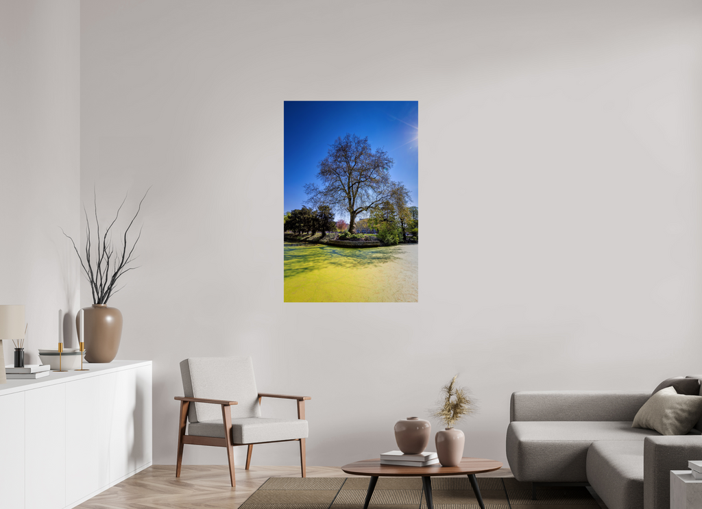 80 x 120 cm, Baryta - Fine Art Baum Enegelenschanze