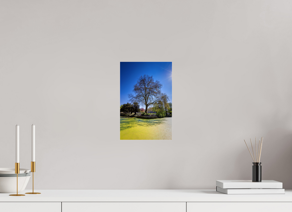 20 x 30 cm, Photo Print Under Acrylic Glass Baum Enegelenschanze