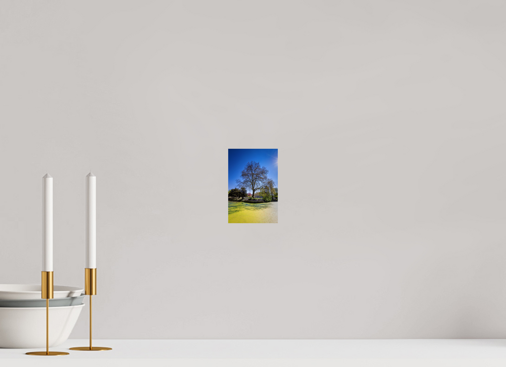 10 x 15 cm, Baryta - Fine Art Baum Enegelenschanze