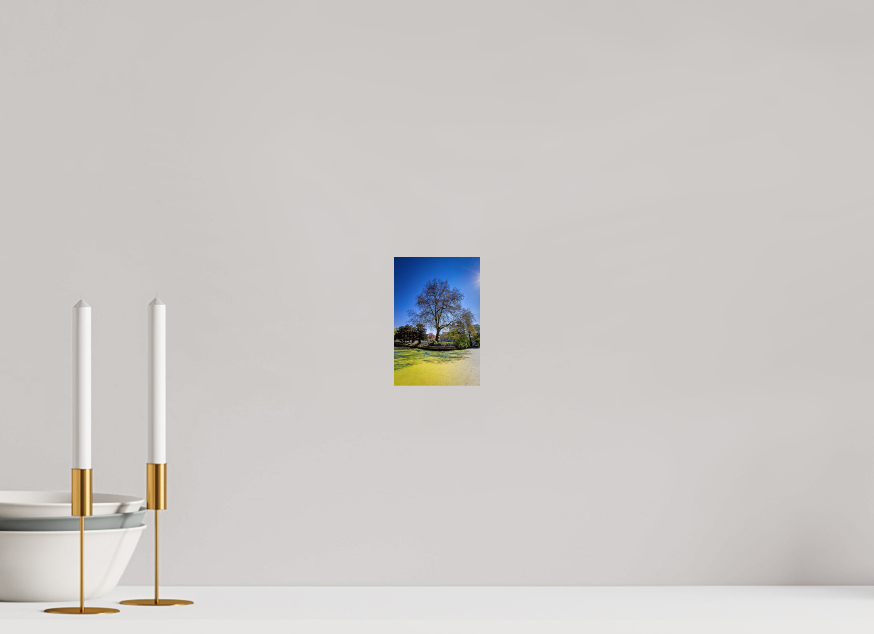 10 x 15 cm, Baryta - Fine Art Baum Enegelenschanze