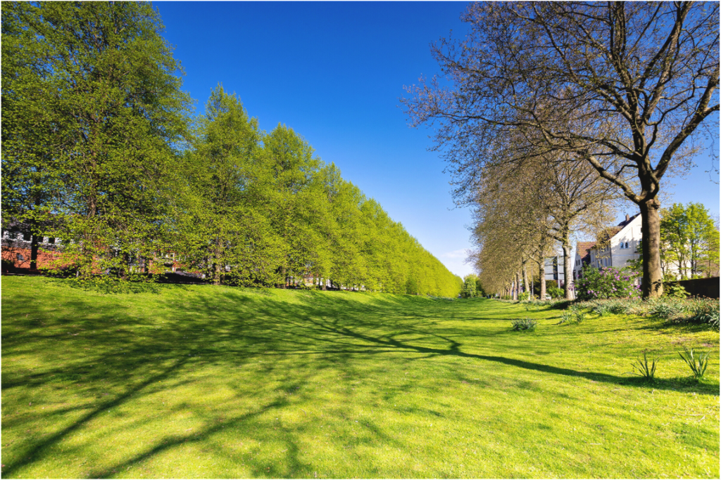 Main image Graben neben der Promenade