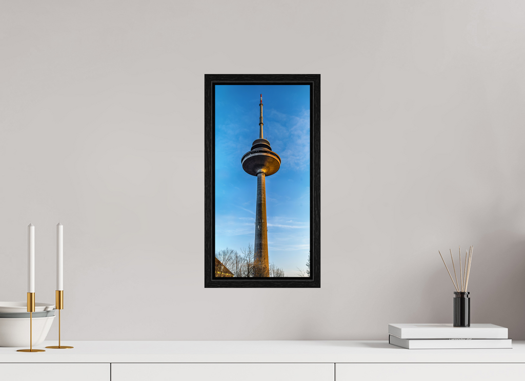 20 x 40,5 cm, Floater Frame Der Fernsehturm - ganz