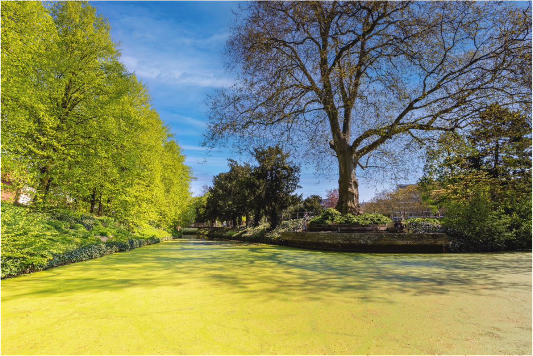 Main image Wassergraben