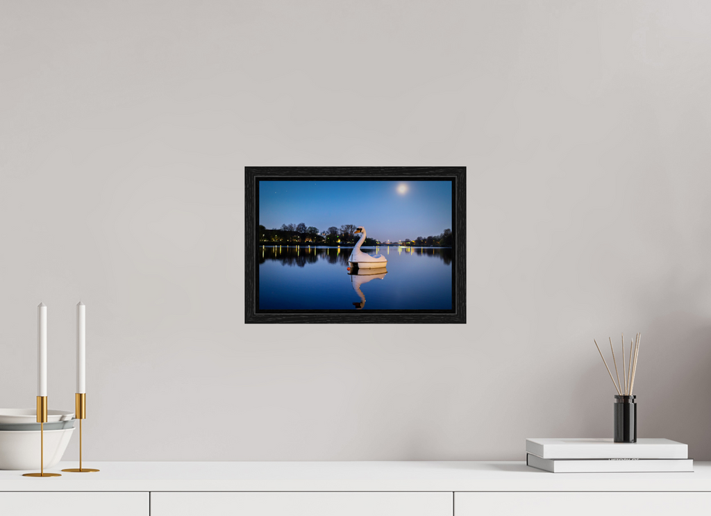 30 x 20 cm, Floater Frame Der Schwan