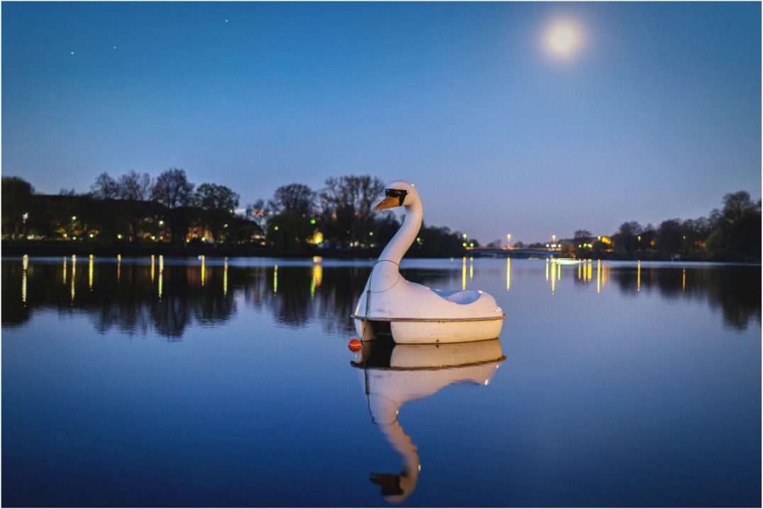 Main image Der Schwan