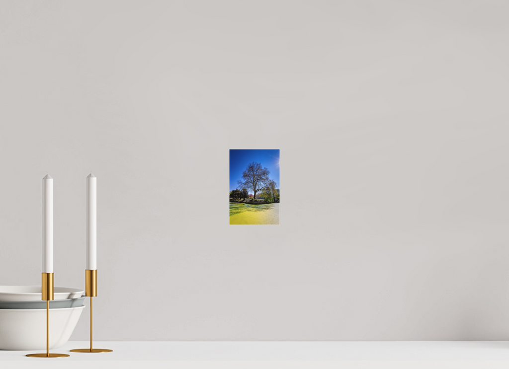 10 x 15 cm, Acrylglas Fine Art Pigmentdruck Baum Enegelenschanze