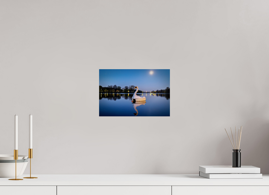 30 x 20 cm, Photo Print On Fuji Crystal DP II Der Schwan