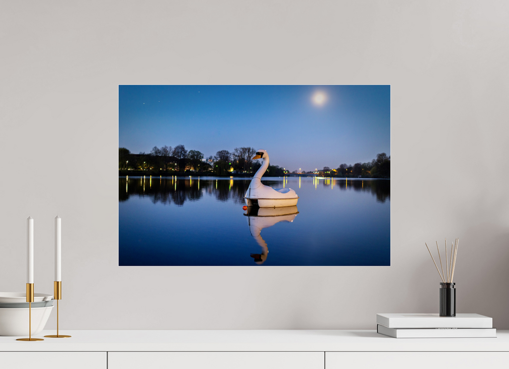 60 x 40 cm, Photo Print Under Acrylic Glass Der Schwan