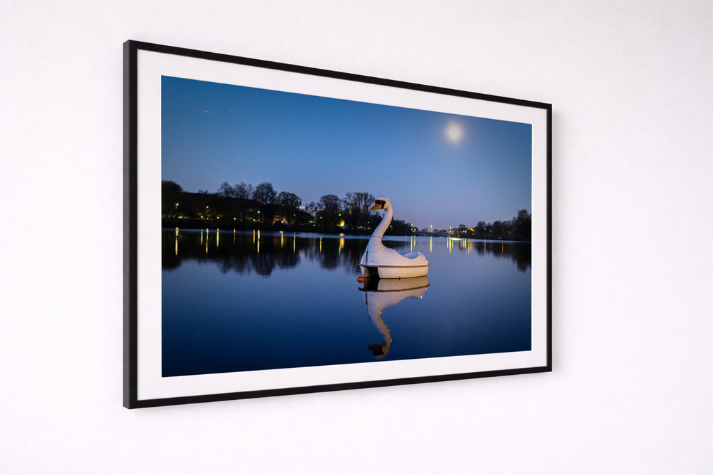 Der Schwan