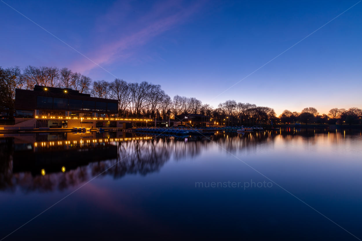 Der Aasee bei Nacht. Die Häuser