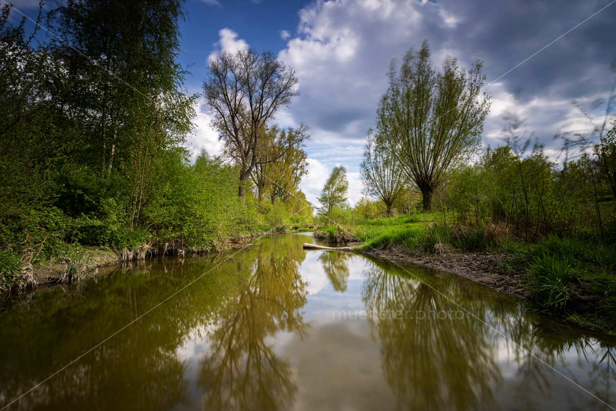 Renaturiernung der Aa - Kanalstraße