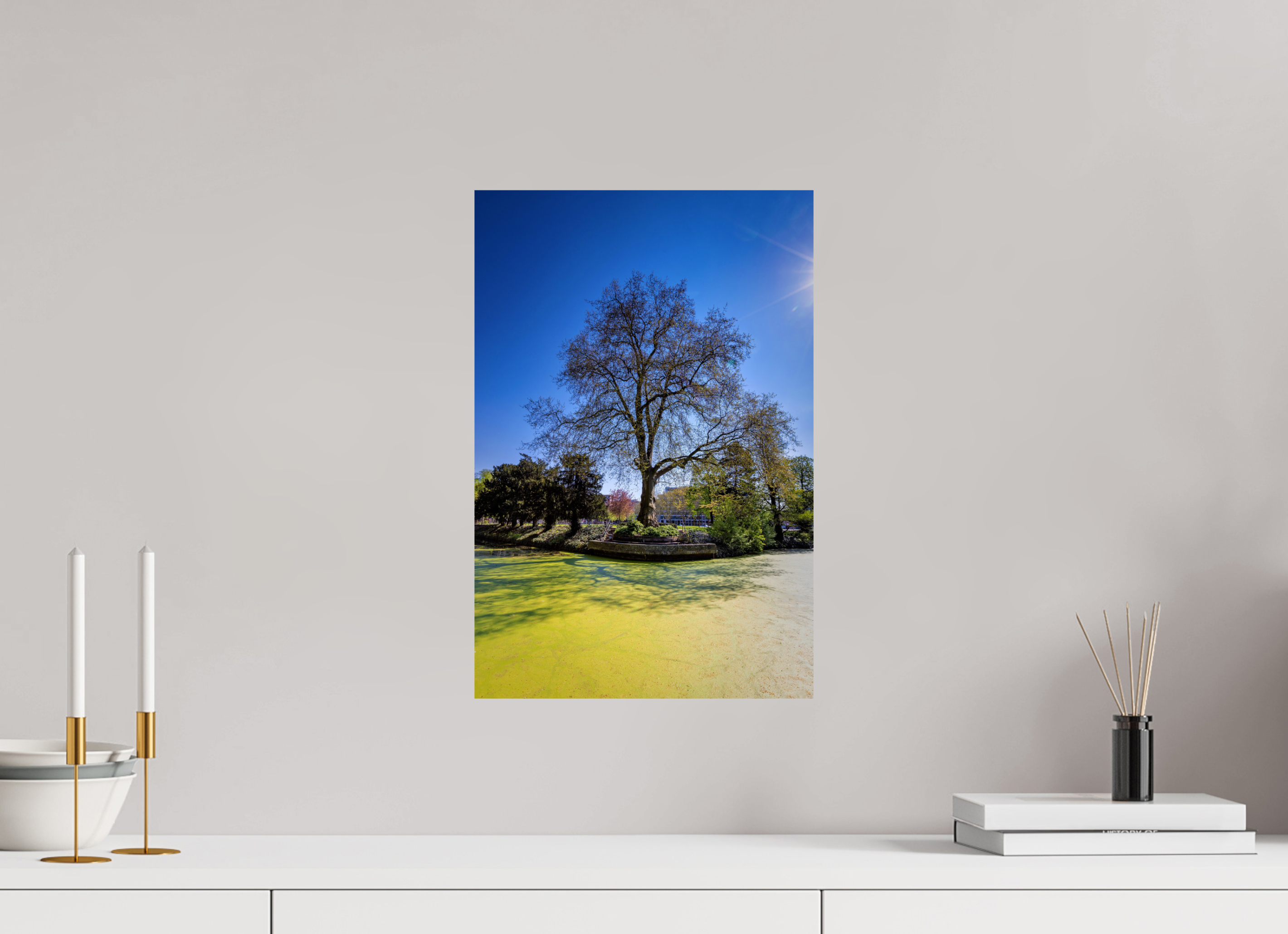 30 x 45 cm, Baryta - Fine Art Baum Enegelenschanze