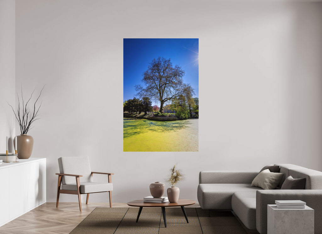 120 x 180 cm, Acrylglas Fine Art Pigmentdruck Baum Enegelenschanze