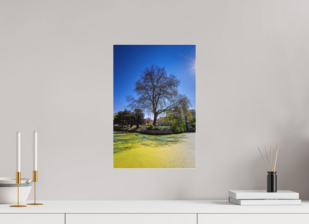 30 x 45 cm, Acrylglas Fine Art Pigmentdruck Baum Enegelenschanze