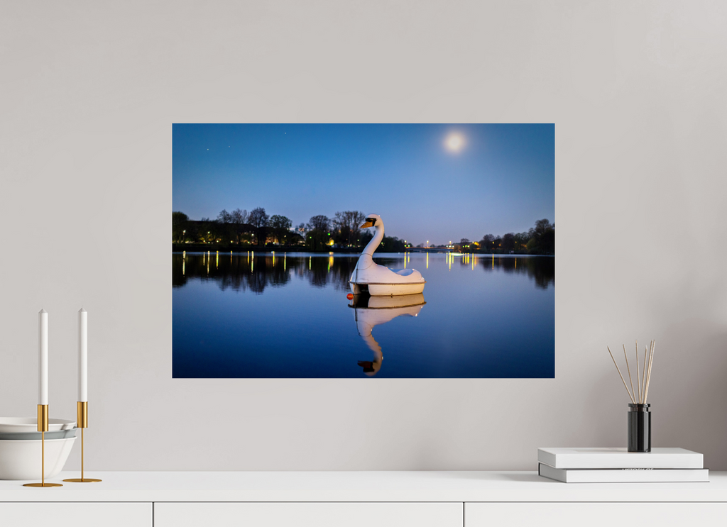 60 x 40 cm, Baryta - Fine Art Der Schwan