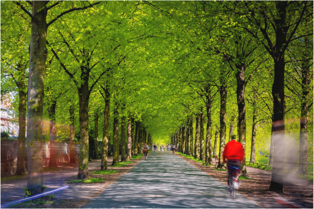 Main image Belebte Promenade