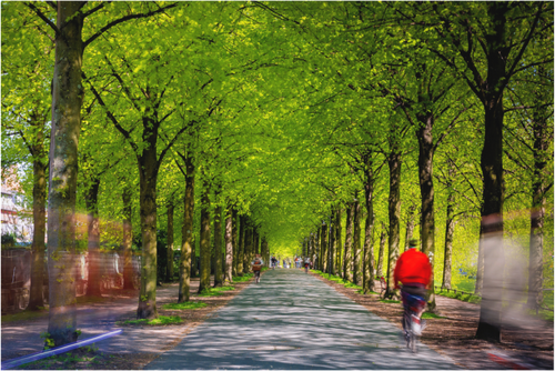 Main image Belebte Promenade