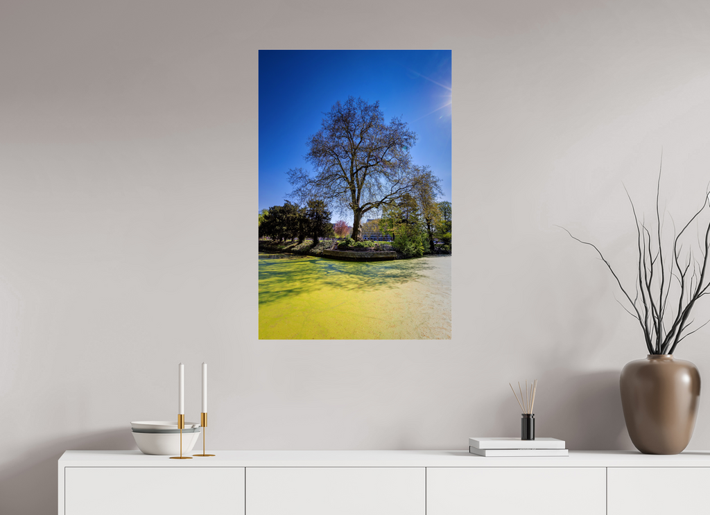 60 x 90 cm, Photo Print Under Acrylic Glass Baum Enegelenschanze