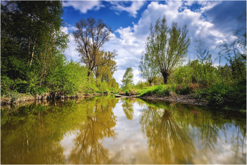 Main image Aa - Renaturierung / 2